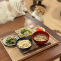 弥生猫's cooksnap of when they made 豆苗とカニカマのごまポン炒め.