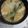 か～ぽ☆'s cooksnap of when they made 山芋のお味噌汁.