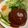 ポメちょん's cooksnap of when they made うちの、でっかい豚ハンバーグ。.