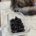 Superlittleboo's cooksnap of when they made 丹波の黒豆煮.