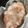 クックEV8AVI☆'s cooksnap of when they made ふわふわしっとりミルクちぎりパン♪.