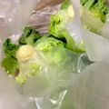 MULA's cooksnap of when they made プリーツレタスの長期保存.
