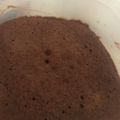 ユカtoマオマオ's cooksnap of when they made レンチン生地とクリチで簡単ティラミス.