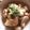 げんき1115's cooksnap of when they made 鶏ひき肉と蕪と豆腐のそぼろあんかけ.