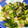 Nya6nya6's cooksnap of when they made レタス消費！ロメインレタスの洋風炒め。.