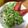 Malonie123's cooksnap of when they made わさび菜とツナのサラダ和え.