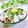 Satoco❋'s cooksnap of when they made 簡単！茹でて薬味☆ イカ ゲソポン酢.