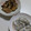クックMJI7BP☆'s cooksnap of when they made 今が旬！牡蠣の下処理。簡単でプリプリ♡.