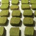 minori！！'s cooksnap of when they made バター不使用♪簡単ザクザククッキー.