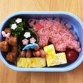 tarepanda's cooksnap of when they made 恐竜☆ステゴサウルスのお弁当★.