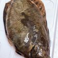 ちゃまたまご's cooksnap of when they made こんなに簡単だったの？！カレイの下処理.