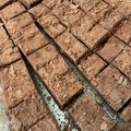・なつ・'s cooksnap of when they made チョコもち.