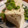 ネコガスキー's cooksnap of when they made ねぎと粉チーズと黒こしょうの冷ややっこ♪.