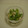 めひっこ's cooksnap of when they made 鶏ささみと水菜のワサビマヨネーズ和え.