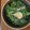 クックGYZASK☆'s cooksnap of when they made ほうれん草と牡蠣のココット.