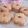 りか໒꒱·'s cooksnap of when they made 桜のガナッシュサンド.