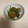 yuuhigao's cooksnap of when they made 時短！炒めて作るほうれん草の胡麻和え.
