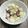 みりん調味料's cooksnap of when they made タコ葱和え.