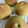67luna's cooksnap of when they made おうちカフェ★米粉入り！抹茶あんパン.