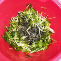 kbmm's cooksnap of when they made とまらない★水菜の和風サラダ.