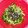 kbmm's cooksnap of when they made とまらない★水菜の和風サラダ.
