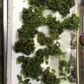 ☆ayami☆26's cooksnap of when they made 青さ海苔の天ぷら.