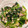 クックIV5M79☆'s cooksnap of when they made 超簡単！ほうれん草と鯖缶の和え物.