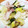 KOKOfkd's cooksnap of when they made 白菜とねぎと豚バラ肉の炒め物.