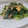 ティモ333's cooksnap of when they made 簡単ふわふわ☆ 小松菜の卵炒め.