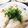 クッキン坊主's cooksnap of when they made 温かい♡ねぎ塩そうめん.