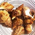ｓｏｒａｍａｍｅ's cooksnap of when they made 簡単！安くて美味しい灯台つぶの塩ゆで♪.
