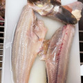 ちゃまたまご's cooksnap of when they made 【簡単】　基本の魚のさばき方.