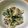 クック4BF0SM☆'s cooksnap of when they made キャベツと生おからの中華風*卯の花.