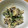 クック4BF0SM☆'s cooksnap of when they made キャベツと生おからの中華風*卯の花.