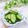 Satoco❋'s cooksnap of when they made 胡瓜のからし漬け.