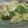 マルタンガール's cooksnap of when they made アボガドのクリームチーズ和え.