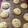 サリュフミ's cooksnap of when they made アメリカン★ソフトチョコチップクッキー.