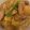 CactiCacti's cooksnap of when they made 箸が止まらない！豚肩と大根のトロトロ煮.