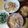 よちりん's cooksnap of when they made 生桜えび丼.