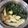 akobo's cooksnap of when they made たけのこの水煮で簡単♪若竹煮♡.