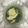 クックMTMRIS☆'s cooksnap of when they made シロナの卵とじ煮.