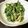ひぃーみん's cooksnap of when they made ほうれん草とツナのごま和え.