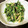 ひぃーみん's cooksnap of when they made ほうれん草とツナのごま和え.