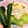 maru385's cooksnap of when they made 料亭の味！白だしで簡単！小松菜の煮浸し.
