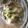 Cook♪Tacos's cooksnap of when they made レンチンで超簡単！蒸し鶏ねぎポン酢♡.