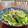 Superlittleboo's cooksnap of when they made 小松菜としめじの煮浸し.