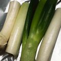 みりん調味料's cooksnap of when they made ネギの保存♪簡単新鮮パリパリ！.