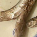 クックTHM5YF☆'s cooksnap of when they made 簡単！小鰯の揚げ焼き.