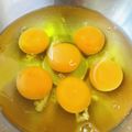 ♡マッキークッキング's cooksnap of when they made ふつうに美味しい・だし巻き.