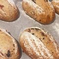 cocecco's cooksnap of when they made ☆全粒粉のレーズンくるみいちじくパン☆.